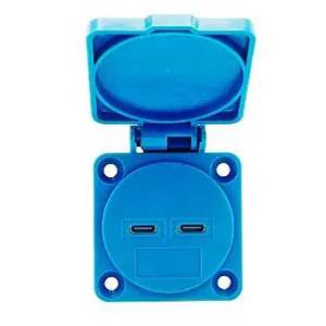 Dual USB Typec Power Socket, Input 100