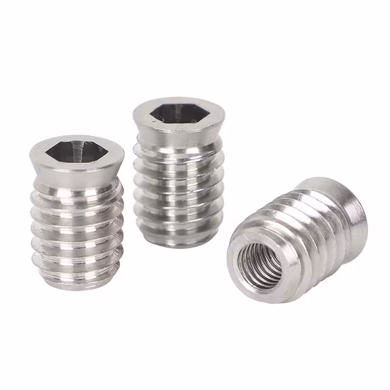 Stainless Steel Nut Set Hex Socket Drive Insert Nuts Threaded for Wood Furniture