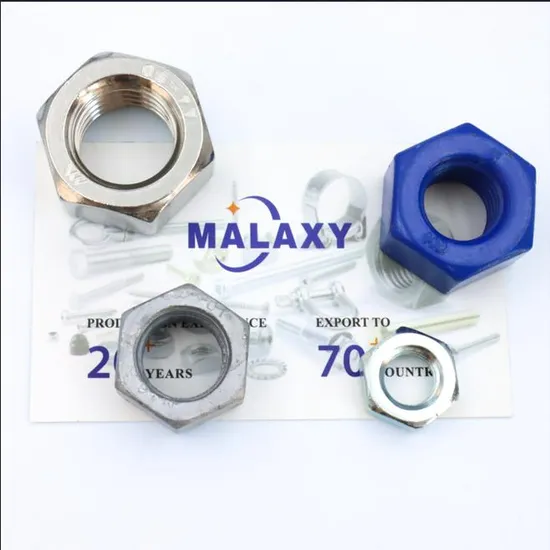 Hexagon Socket Head Stainless Steel/SS304/SSS316/Welding Hex Nut 